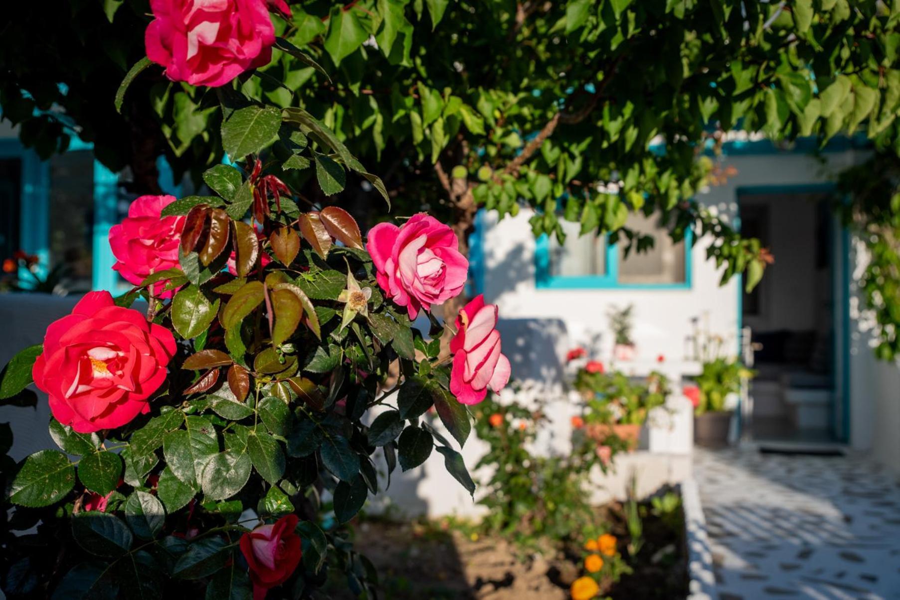 Azzurro Naxos, Azzurro I - Azzurro II - Azzurro III Appartement Naxos City Buitenkant foto